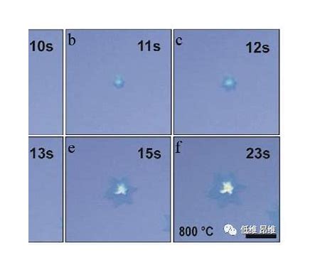 pascal-mORMot2：现代Pascal的高性能ORM与Web服务框架