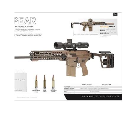 pascal-好的，这是一篇关于 Pascal MCX 项目的�...