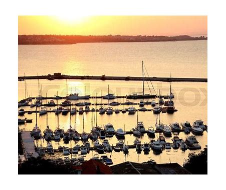 go-Go Harbor：企业级云原生镜像仓库解决方案