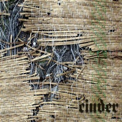 c++-好的，这是一篇关于 C++ 图形与创意编...