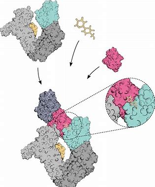 Proxygen：Facebook 高性能 C++ HTTP 库深度解析