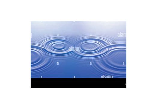 深入解析 rippled：构建 XRP Ledger 的核心引擎**