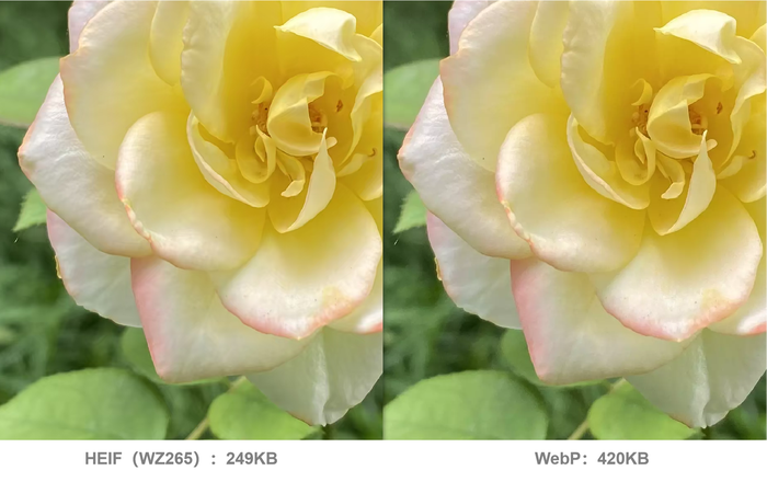 深入解析 Nokia Technologies 开源 HEIF 项目：C++ 高效图像格式编码解码实战指南与核心实例详解及架构分析