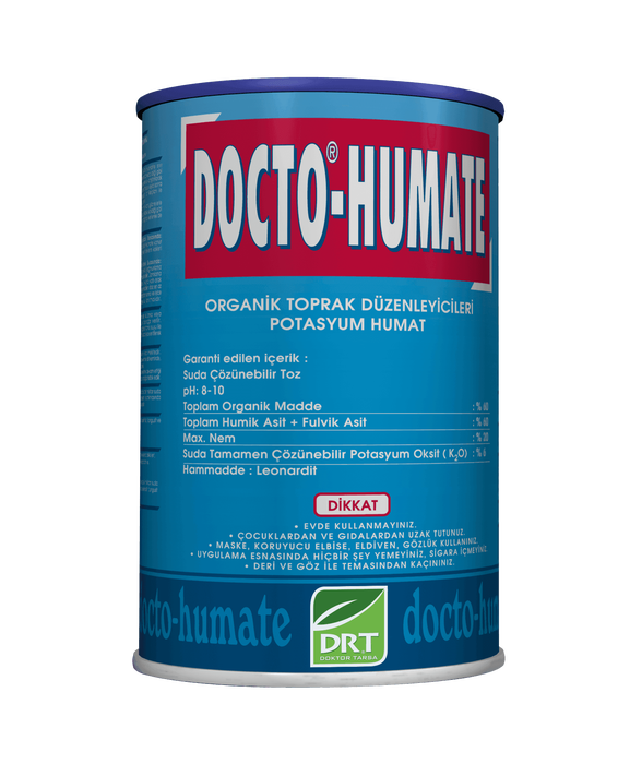 深入解析 GitHub 开源项目 DocTo：基于 Pascal 实现的 Word 文档自动化转换利器及其实战应用案例详解