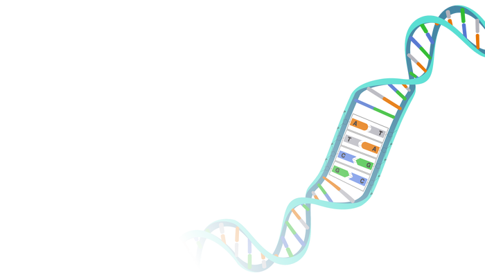 go-告别缓慢的文件同步！Mutagen 项目全方位指南：从原理到实战示例，打造流畅的远程开发体验