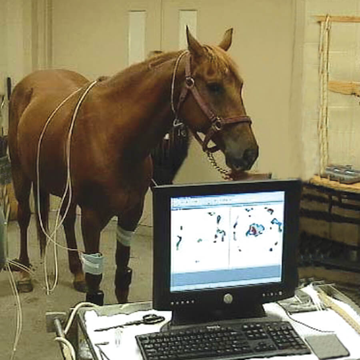 揭秘 Pascal 异步日志利器：horse-datalogger 深度解析与实战指南